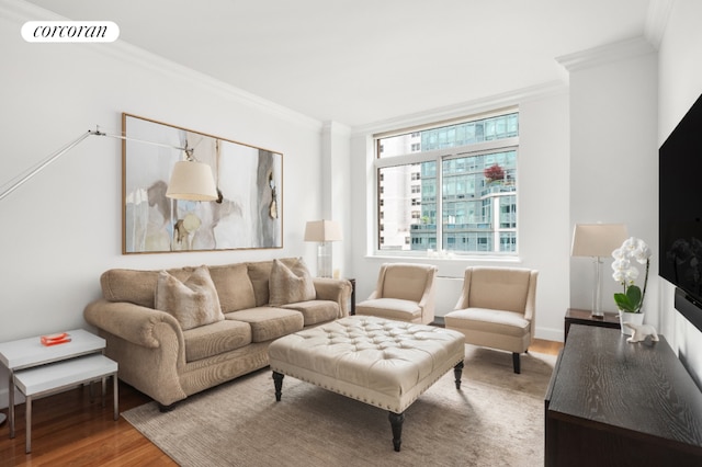 living room with crown molding and wood-type flooring