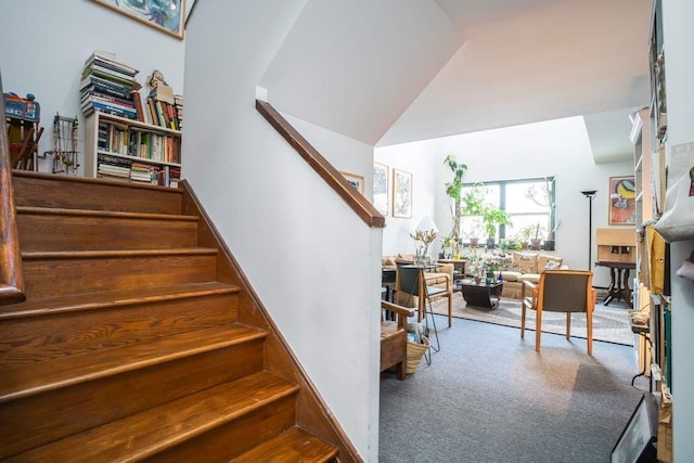 staircase featuring carpet flooring