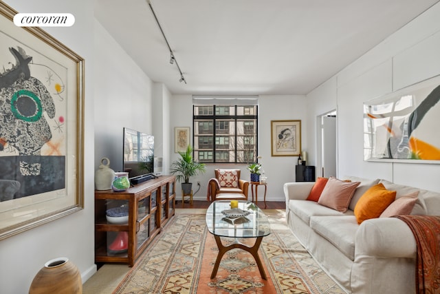 living room featuring track lighting and light hardwood / wood-style flooring