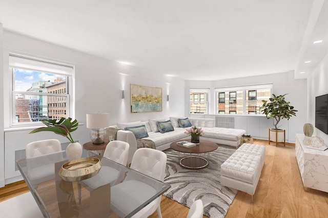 living room featuring light hardwood / wood-style floors and a wealth of natural light