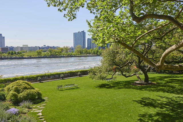 6 Sutton Sq, New York City, NY 10022 - view of community featuring a water view, a view of city, and a lawn