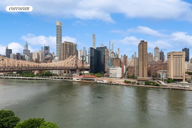 425 Main St Unit 12D, New York City, NY 10044 - property's view of city featuring a water view