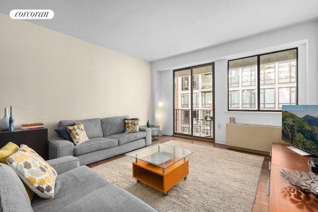 living room with hardwood / wood-style floors