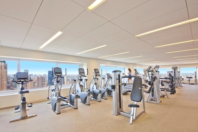 workout area featuring carpet flooring