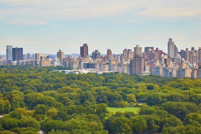 property's view of city