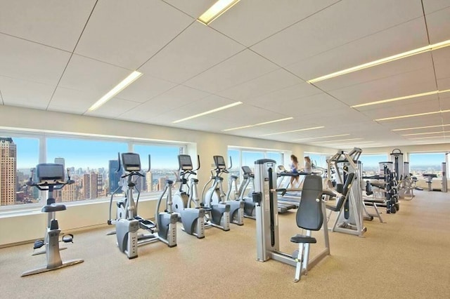 workout area with a healthy amount of sunlight and carpet flooring