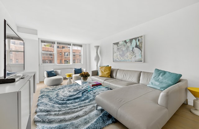 living room with wood finished floors