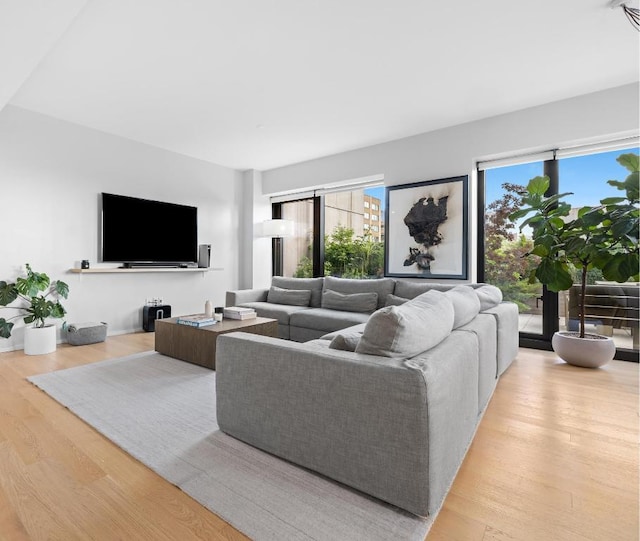 living room with light wood-type flooring