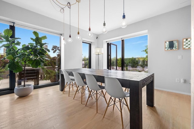 dining room featuring light wood-type flooring and a healthy amount of sunlight