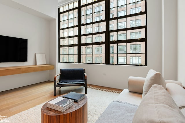 200 Water St Unit 3A, New York City, NY 11201 - living room featuring wood finished floors and a high ceiling