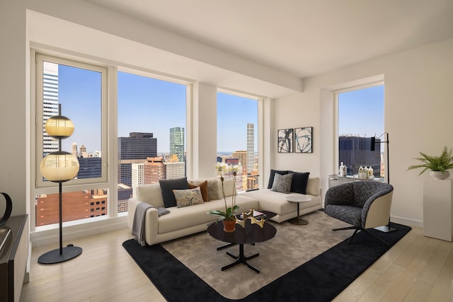 living room featuring baseboards, a view of city, and light wood finished floors