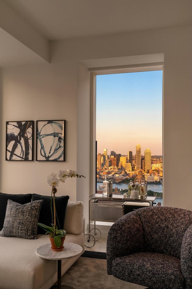 living area with a city view