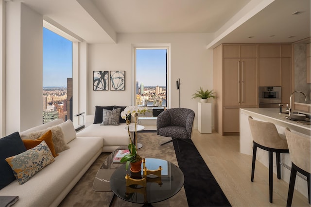 living room featuring light wood-type flooring, a view of city, and plenty of natural light