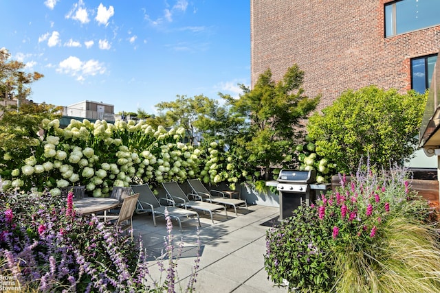 view of patio / terrace with grilling area