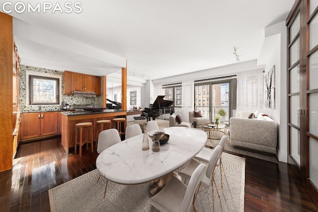 dining area featuring a healthy amount of sunlight, track lighting, and dark hardwood / wood-style flooring