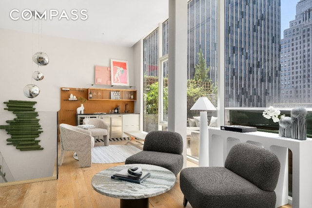 living area featuring expansive windows and wood-type flooring