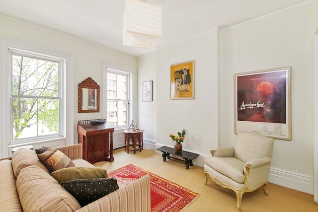 living area with baseboards, ornamental molding, and carpet flooring