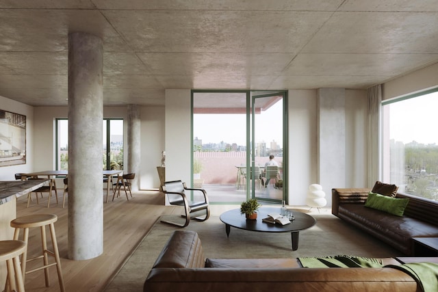 living area featuring a city view, wood finished floors, and ornate columns