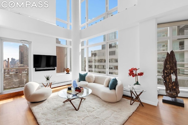 living room with wood-type flooring, a baseboard heating unit, and a wealth of natural light