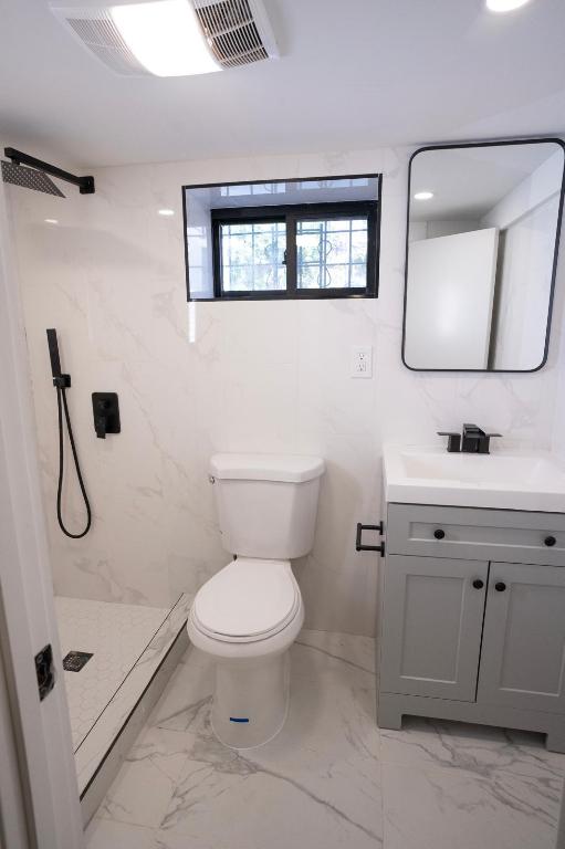 bathroom with vanity, toilet, and a tile shower