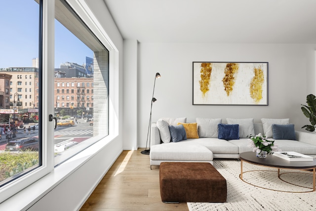 living room with light wood-type flooring