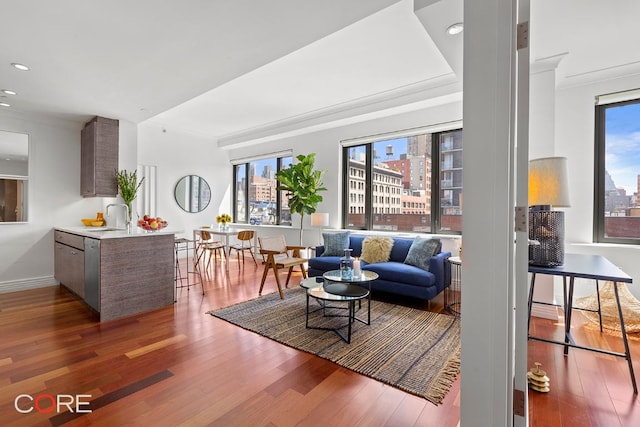 living room with sink and hardwood / wood-style floors