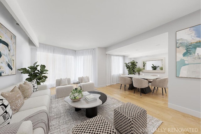 living room featuring light hardwood / wood-style flooring