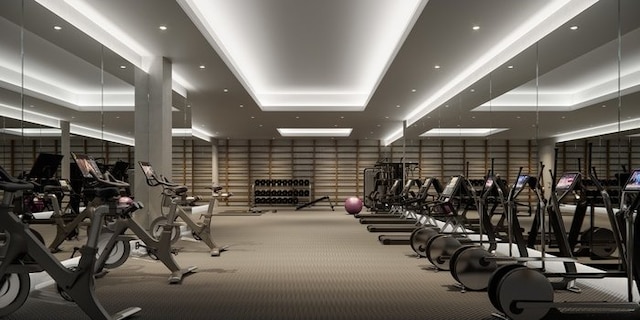 exercise room featuring a raised ceiling and carpet