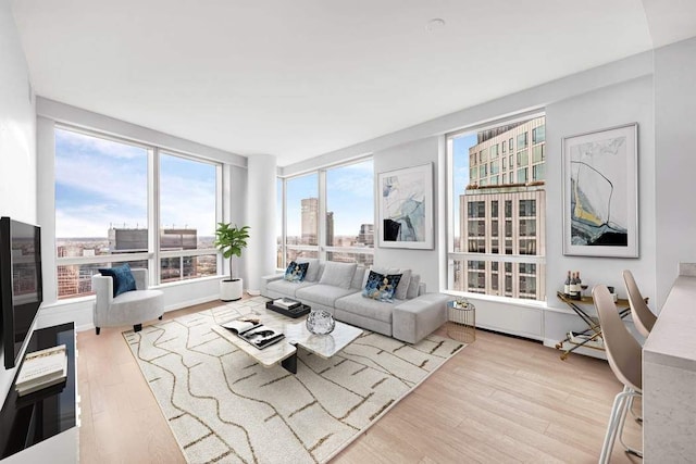 living room with light hardwood / wood-style flooring