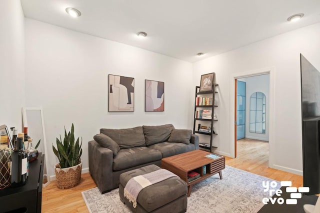 living room with light wood-type flooring