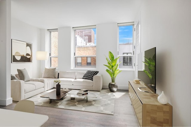 living room with light hardwood / wood-style flooring and plenty of natural light