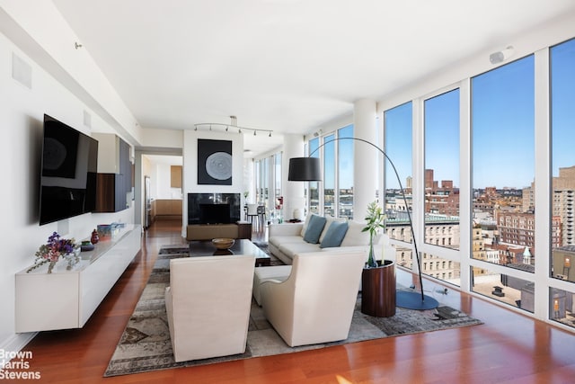 living room featuring expansive windows and dark wood-type flooring