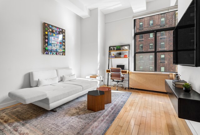 living room featuring hardwood / wood-style flooring