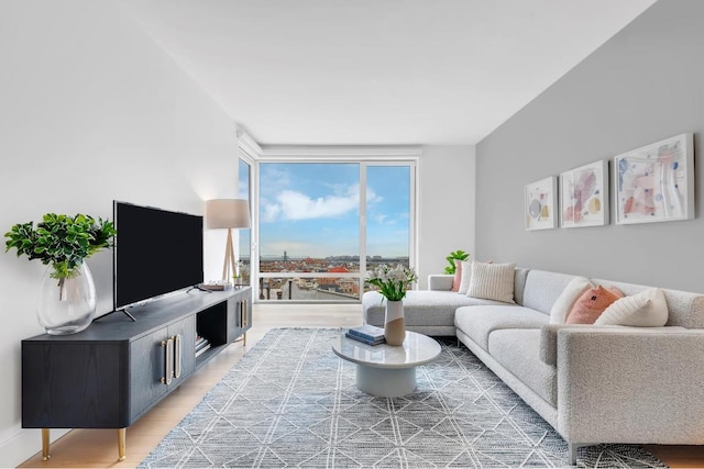 living room with expansive windows