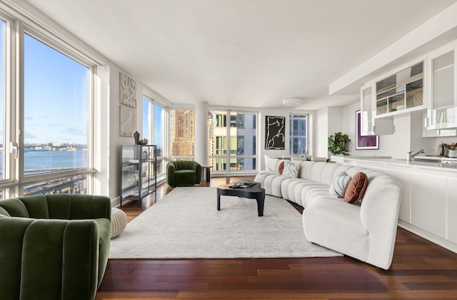 living room featuring dark hardwood / wood-style flooring and a water view