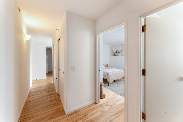 1831 Madison Ave Unit 9-F, New York City, NY 10035 - corridor with light wood-style flooring and baseboards