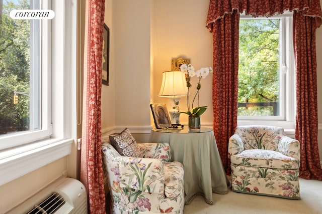 sitting room with a healthy amount of sunlight and carpet flooring