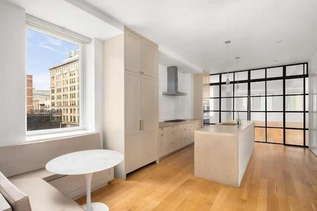kitchen featuring wall chimney range hood, a sink, appliances with stainless steel finishes, decorative backsplash, and light wood-style flooring
