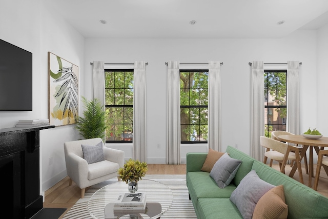 living room with hardwood / wood-style flooring and a healthy amount of sunlight