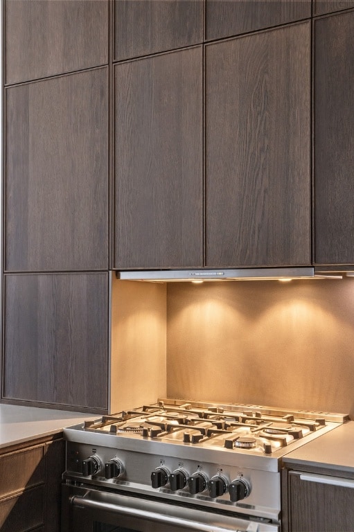 kitchen featuring stainless steel stove and dark brown cabinets