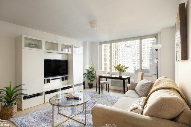 living room featuring light hardwood / wood-style floors