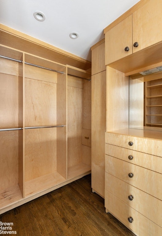 walk in closet with dark hardwood / wood-style flooring