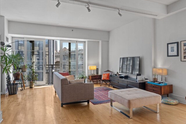 living room featuring rail lighting and light hardwood / wood-style flooring