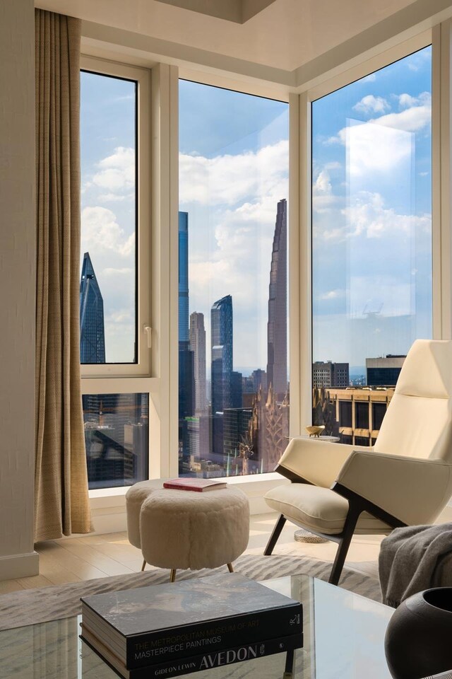 living area featuring healthy amount of natural light and a view of skyline