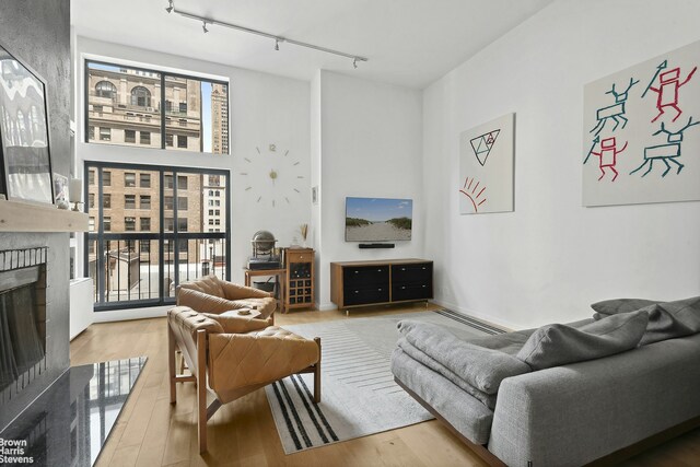 living area featuring wood finished floors, rail lighting, and a fireplace