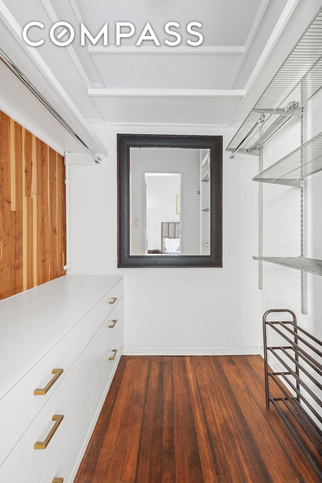 spacious closet with dark wood-style flooring