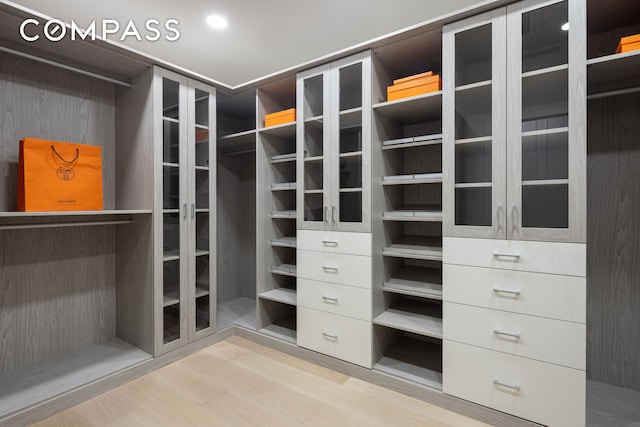 walk in closet with wood finished floors