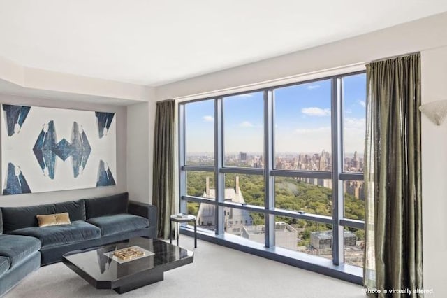 living area featuring carpet and a view of city