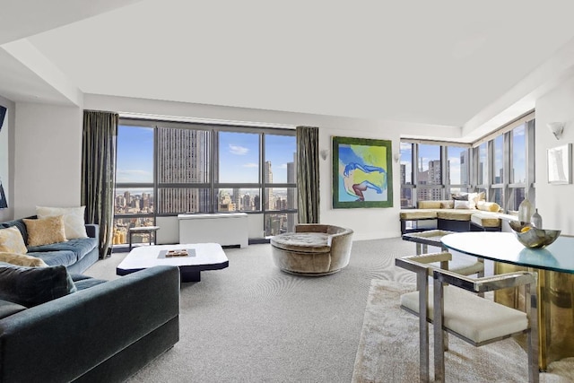 view of carpeted living room