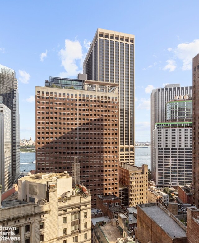 15 William St Unit 21A, New York City, NY 10004 - view of city with a water view